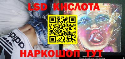 прущие грибы Гай